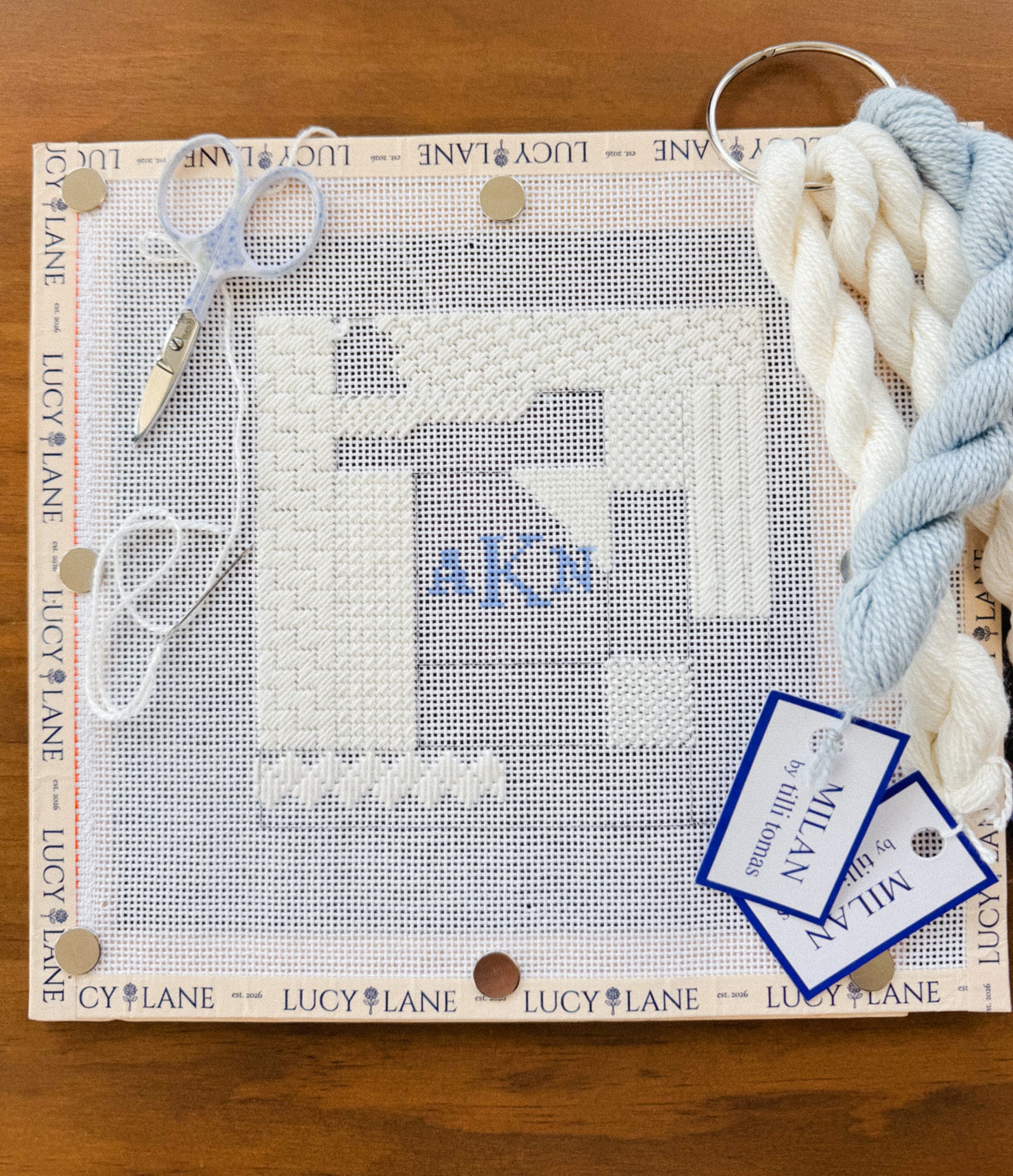 The Decorative Stitch Workshop: 8-Week Sampler Series
