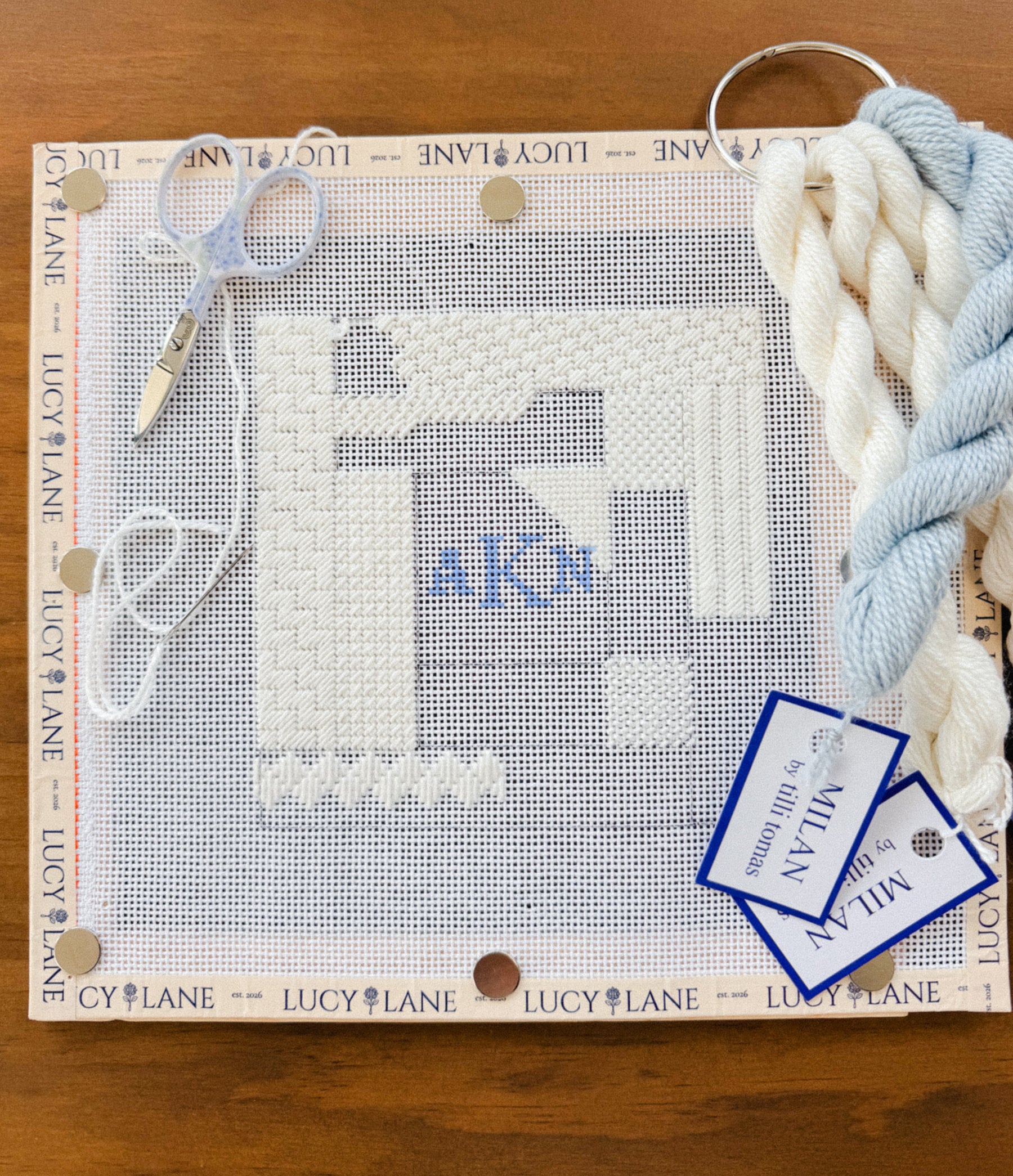 The Decorative Stitch Workshop: 8-Week Sampler Series