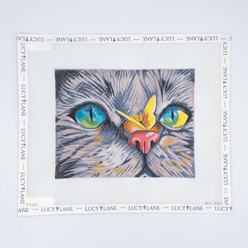 Cat Eyes with Butterfly Canvas AN367 - Colors of Praise