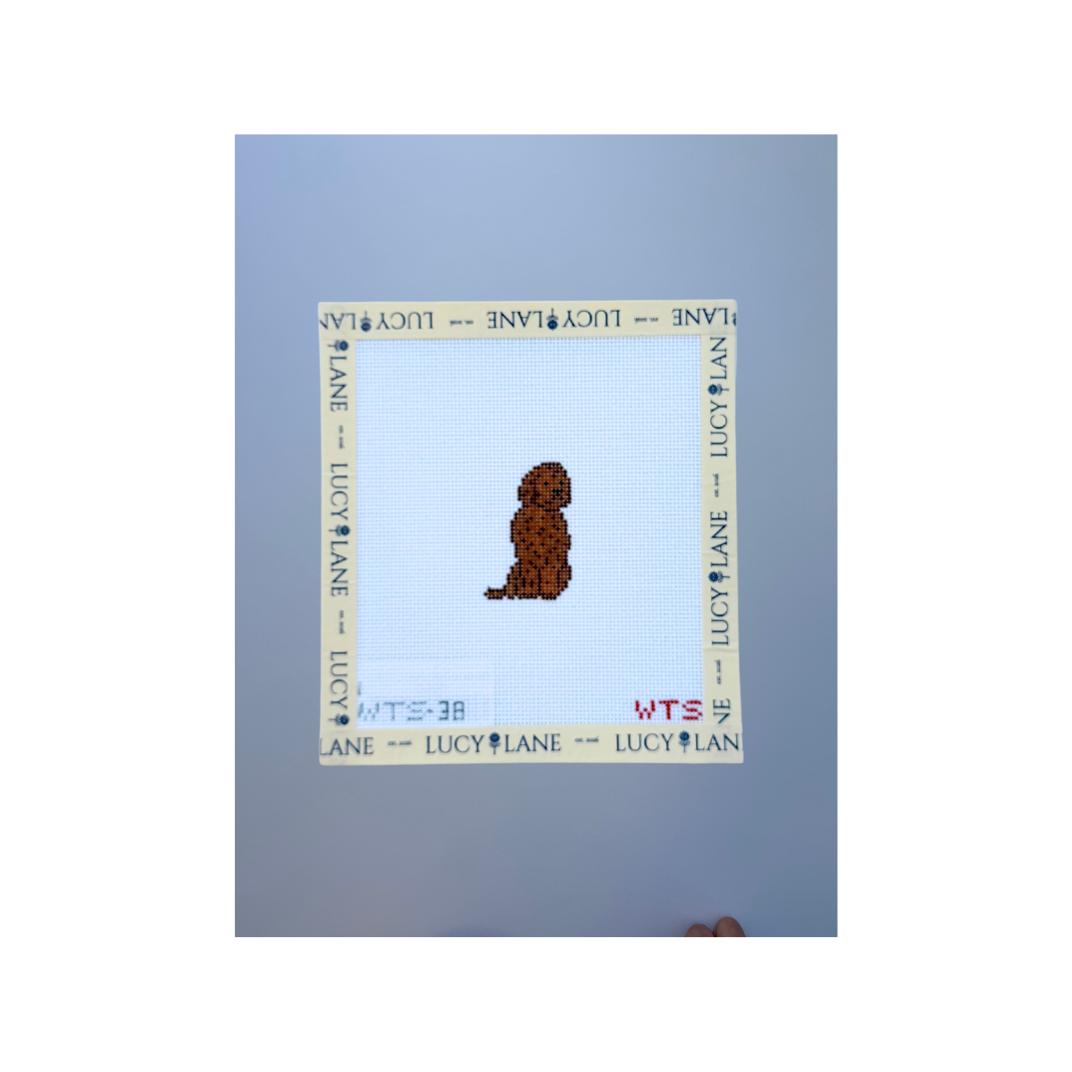 Mini Doodle Canvas - What's the Stitch