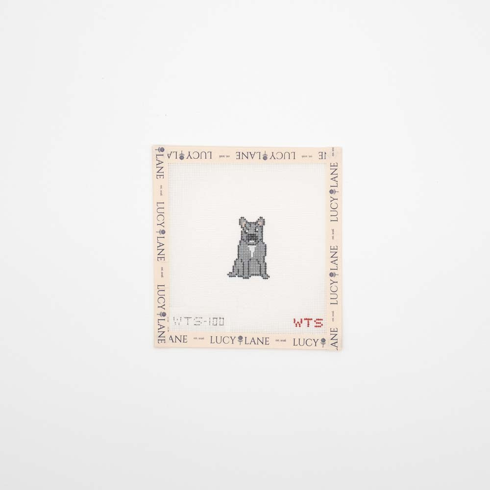 Mini Frenchie Canvas