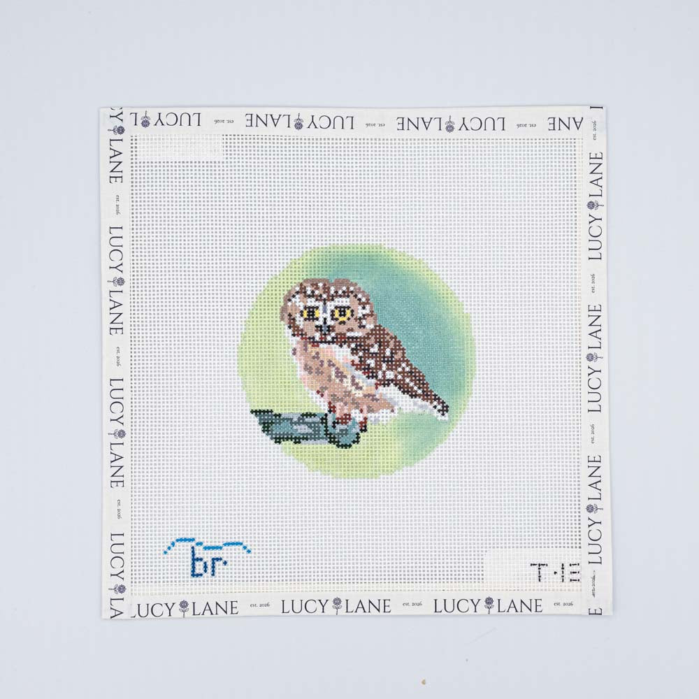 Rocky - Saw Whet Owl Canvas - Blue Ridge Stitchery